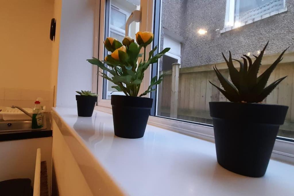 Spacious 4 Bedroom, Free Netflix, Central Location Cardiff Eksteriør billede