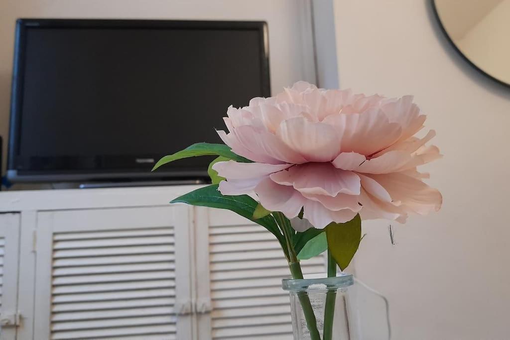 Spacious 4 Bedroom, Free Netflix, Central Location Cardiff Eksteriør billede